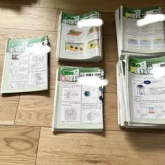 グノーブル6年生　国語　フルセット　通常授業、春期・夏期・冬期講習 グノーブル6年生 国語 フルセット 通常授業、春期・夏期・冬期