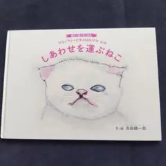しあわせを運ぶねこ