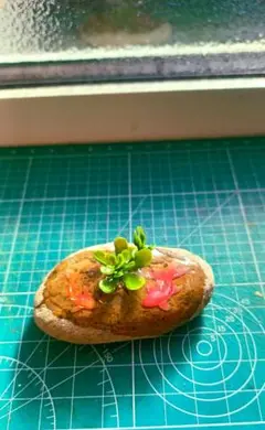 Item thumbnail for item 2ab7edea-ab7d-45c8-9e10-85244f1b65b2