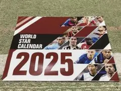 2025年ワールドスターカレンダー