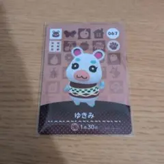 あつまれどうぶつの森 amiiboカード ゆきみ
