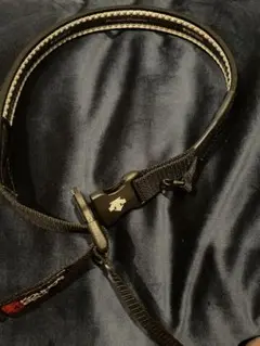 コウノエベルトＳサイズ