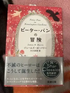 ピーターパンの冒険