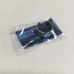 HUNTER×HUNTER グリードアイランド専用指輪　DVD特典