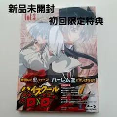 定価7000円 新品未開封 ハイスクールD×D Vol.3 初回限定特典