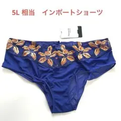 5L インポートショーツ　メッシュ　ブルー