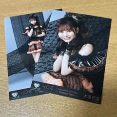 大場花菜 セミコンプ