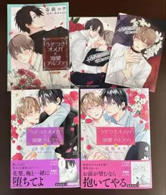 BLコミック2冊セット『うそつきオメガと溺愛アルファ（上）（下）』コミコミ小冊子