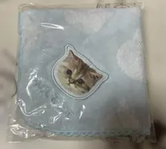 ポール&ジョー　ハンカチ　猫