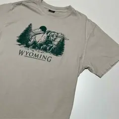 プリントTシャツ メンズ　レディース　Lサイズ　2503192