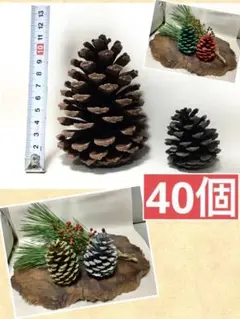 Item thumbnail for item ee767e25-b759-4f4b-a113-5428e1ac6c9c