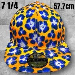 Item thumbnail for item 655f040b-0bee-494b-af0c-dc31057d7148