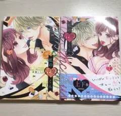 私の淫魔くん　上下巻セット