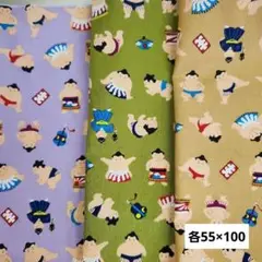 生地　布和里　染布　相撲　3色　ハンドメイド　ハギレ　ベジュ　グリーン　紫