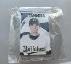 オリックス　山岡泰輔　アクスタ