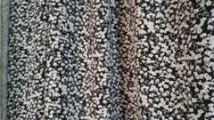 Item thumbnail for item 93f8056d-712b-4ce1-8a37-598cd64ccd01