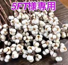 Item thumbnail for item 6c849929-8f8b-4ca4-b482-df1666a51cca