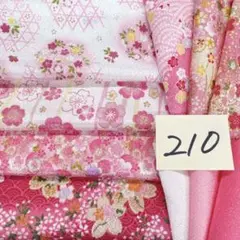 210 ちりめん