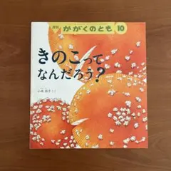 【絶版】　きのこってなんだろう？　かがくのとも　福音館書店