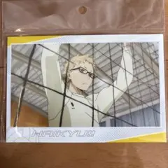 ハイキュー!! ポストカードセット #4 5枚入