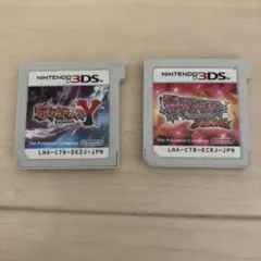 ポケットモンスター　オメガルビー　Y