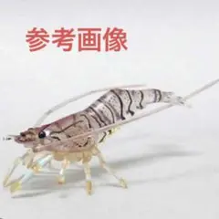 yujin原色甲殻類エビ・カニ図鑑　スジエビ　未使用品