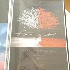 Aimer 蝶々結び ポスター サイン入り 51wfmIgNU2L._AC_SY200_QL15_.jpg
