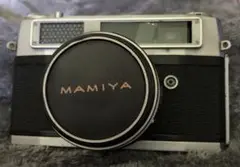 Item thumbnail for item 273e2282-0c62-4fe5-aa82-80990ae480a5