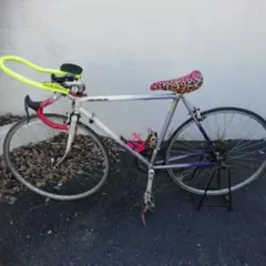 ブリジストンレイダック