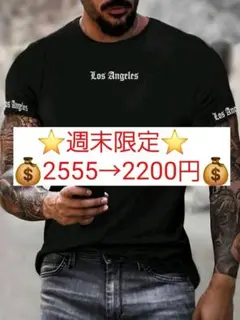 ⭐新品未使用　Ｌサイズ　トップスⅧ⭐⭐⭐