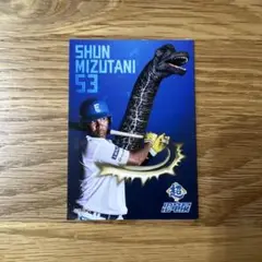 ◾️ファイターズ 恐竜展 トレカ 水谷瞬