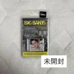 WayV BIG BANDS クン SMini 未開封