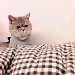 ひろ0307様　専用ページ