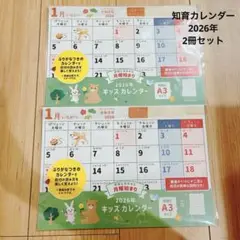 2026年　最新　知育キッズカレンダー　2セット A3サイズ　セリア
