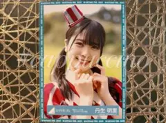 日向坂46 丹生明里 生写真 まとめ売り - メルカリ