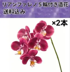 Item thumbnail for item 1835359a-4681-4f31-9cb3-1c8271e952f6