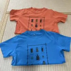 モンベル　120 2枚セット