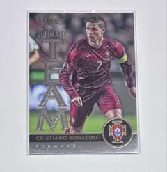 Panini Cristiano Ronaldo クリロナ　サッカーカード