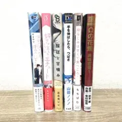 【美品】BL漫画　まとめ売り　6冊セット