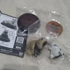 いきもの大図鑑　たぬき　新品未開封品　ねこフィギュアおまけ