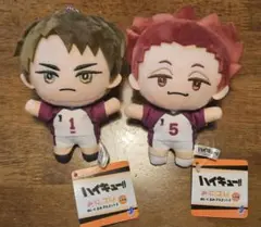 ハイキュー!! みにコレ！ぬいぐるみマスコット 白鳥沢高校　２種セット