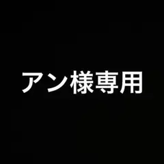 アイロンノース1枚