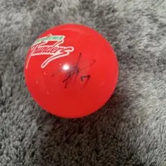 Item thumbnail for item 9bb6be1d-c8ca-4f48-9bb6-51c8f04a71c6