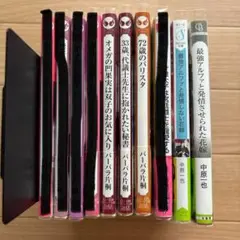 BL小説　まとめ売り　5冊