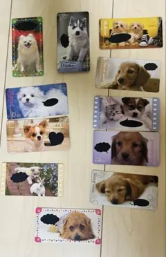 おしゃべりわんこ　カード　犬　コレクション　11枚