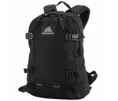 【美品】GREGORY グレゴリー オールデイ 22L