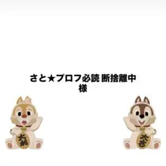 専用ページ