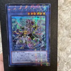 イビリチュア・テトラオーグル　DTC シク