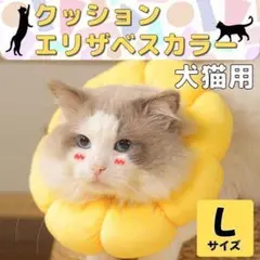 Item thumbnail for item c946fd88-69bc-451d-b70b-1d05ce64f4b9