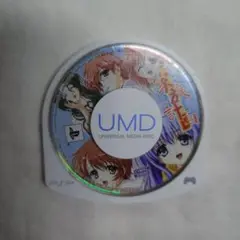 PSP 家族計画 ソフトのみ 動作確認済み PSP